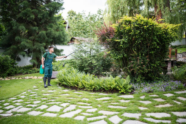 Trusted Breckenridge Hills, MO Pest Control Experts
